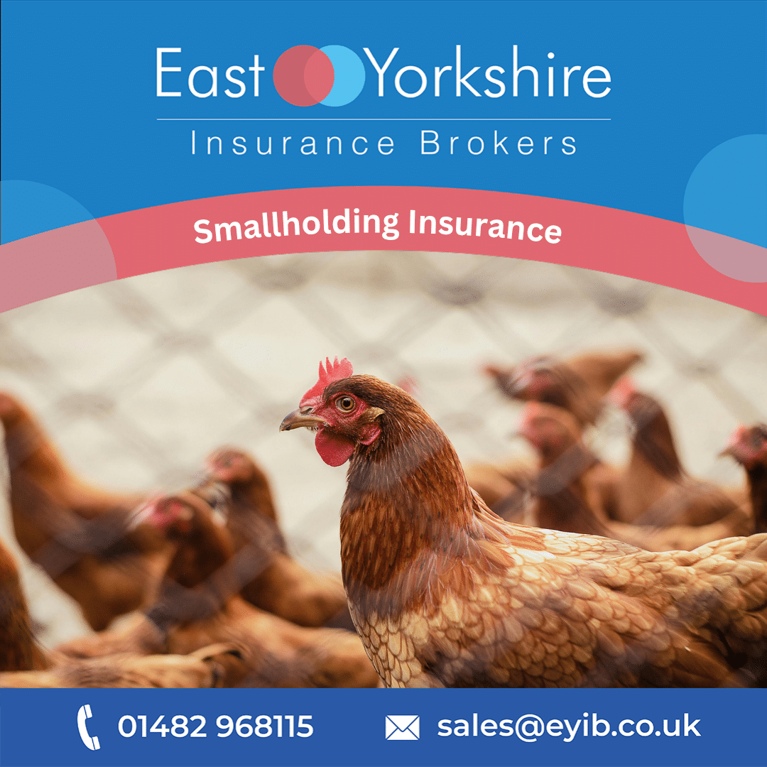 Ultimate Guide To Smallholding Insurance
