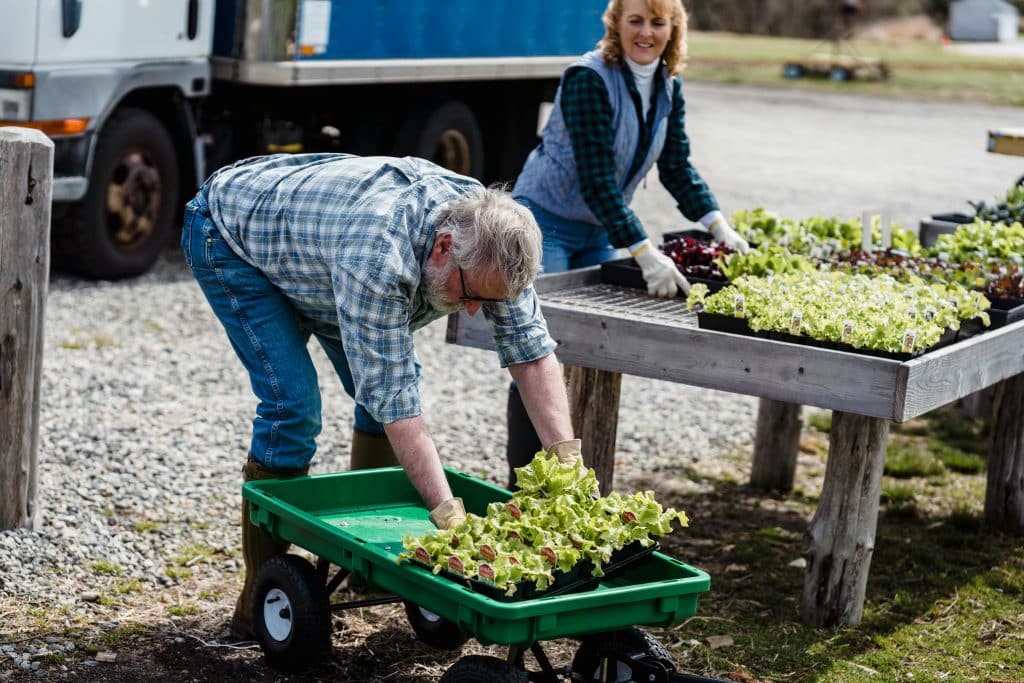 Farmers planting crops